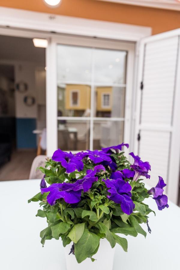 Apartment Orlando Tenerife Sur Pluto Costa Adeje  Ngoại thất bức ảnh